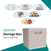 Qoolish Pack of 1 Storage box of White Strip