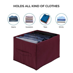 Qoolish Pack of 1 Maroon Jeans Organizer